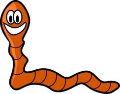 painted orange worm