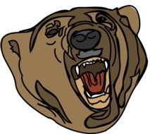 bear grizzly face drawing