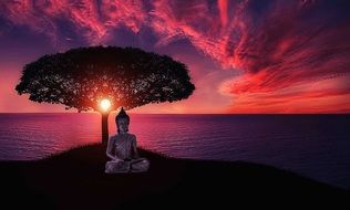 buddha's meditation in asia