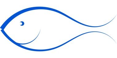 blue fish drawing