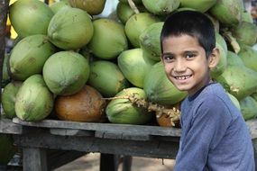 happy boy on a background of coconut harvest