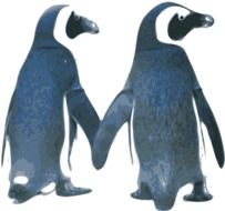drawn two penguins