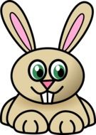 rabbit animal cartoon drawing