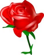 red rose drawn in computer graphics