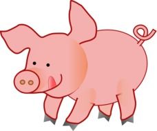 Picture of pink pig on a farm