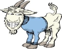 goat in blue sweater drawing