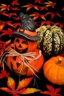 Decorations for Halloween on the background of autumn leaves