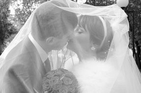 newlyweds kiss under the veil