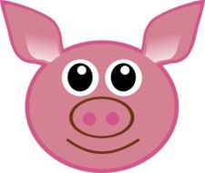 pig head cartoon drawing