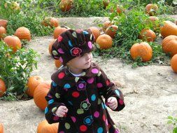 little girl and pumpkins outdoor