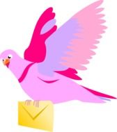 pink pigeon drawing