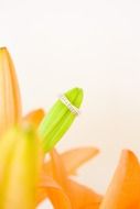 wedding ring on a lily