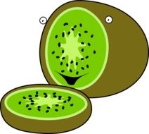 graphic image of green kiwi