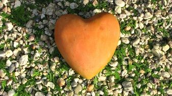 stone in heart shape
