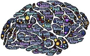 Meditation in the brain
