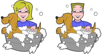 bathing dogs on a colorful picture