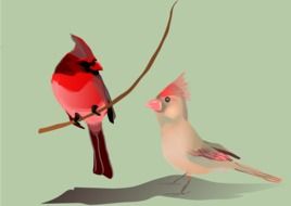 pink birds as a drawing