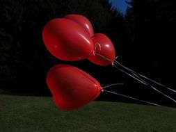 heart balloons on the wind