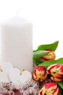 white candle and tulips