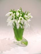 bouquet of snowdrops in a glass vase