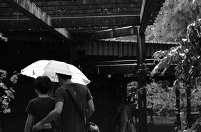 loving couple under umbrella black and white view