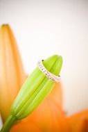 Wedding ring on flower inflorescence