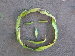 smiling face made from green leaves