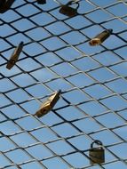 love locks on a fence