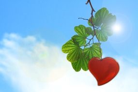 branch with leaves and heart in sky