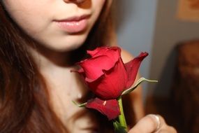 red rose in the hand of a girl