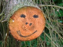 wood face happiness drawing