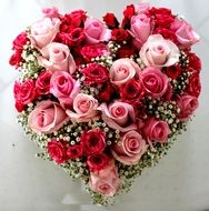 heart roses flowers