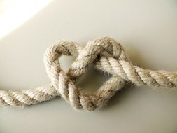 sea knot on a white surface