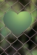 Green heart on the trellis