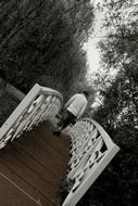 woman on a bridge in a park