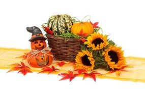 autumn decoration sunflower and pumpkin
