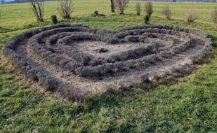 heart as an element of landscape design