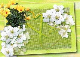 painted flowers on a green postcard for Easter