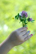 flower in female hand