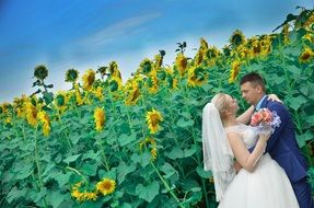 wedding in sunflower field