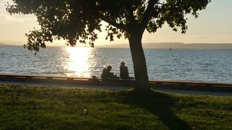 couple in love near the water at sunset