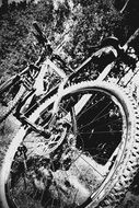 season round cycling