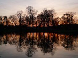 trees reflected in a pond at sunset