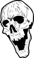 nasty laughing skull