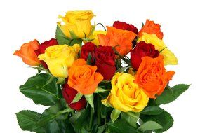 beautiful bouquet of colorful roses