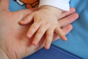 baby and parent touch
