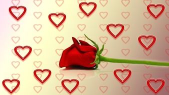 wallpaper with rose and hearts