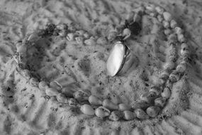 heart shaped seashell on sand