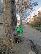 child is hiding behind a tree