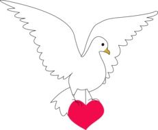 dove heart drawing